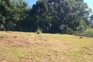 Terreno com 680m², no bairro Santa Catarina em Caxias do Sul para Comprar