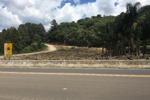 Pavilhão com 4500m², no bairro Santa Corona em Caxias do Sul para Alugar