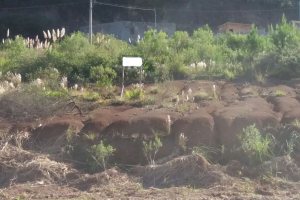 Terreno, no bairro Santa Catarina em Caxias do Sul para Comprar