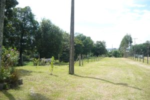 Chácara com 100m², 2 dormitórios, 1 vaga, no bairro Nossa Senhora da Saúde em Caxias do Sul para Comprar