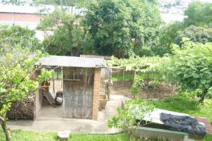 Terreno, no bairro São Leopoldo em Caxias do Sul para Comprar