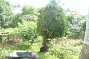 Terreno, no bairro São Leopoldo em Caxias do Sul para Comprar