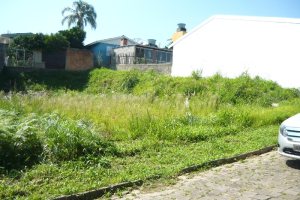 Terreno, no bairro São Caetano em Caxias do Sul para Comprar