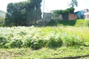 Terreno, no bairro São Caetano em Caxias do Sul para Comprar