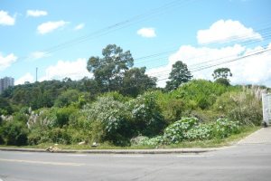 Terreno com 16680m², no bairro Santa Lúcia em Caxias do Sul para Comprar