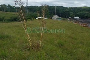 Chácara, no bairro Apanhador em Caxias do Sul para Comprar