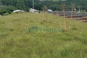 Chácara, no bairro Apanhador em Caxias do Sul para Comprar