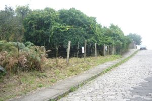 Terreno, no bairro Cruzeiro em Caxias do Sul para Comprar