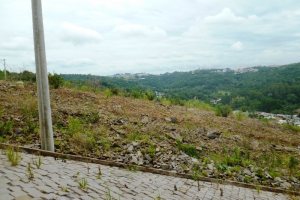 Terreno, no bairro Parque Santa Rita em Caxias do Sul para Comprar
