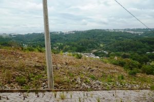 Terreno, no bairro Parque Santa Rita em Caxias do Sul para Comprar