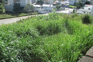 Terreno com 2520m², no bairro Cinqüentenário em Caxias do Sul para Alugar