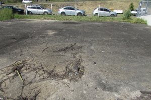 Terreno com 2520m², no bairro Cinqüentenário em Caxias do Sul para Alugar