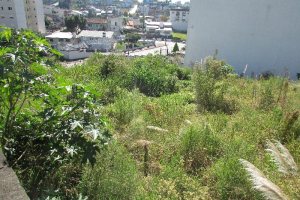 Terreno com 2520m², no bairro Cinqüentenário em Caxias do Sul para Alugar