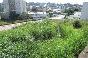Terreno com 2520m², no bairro Cinqüentenário em Caxias do Sul para Alugar
