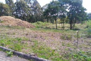 Terreno, no bairro São Ciro em Caxias do Sul para Comprar