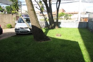 Casa Comercial com 130m², 3 dormitórios, 1 vaga, no bairro Esplanada em Caxias do Sul para Alugar