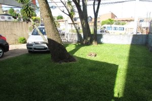 Casa Comercial com 130m², 3 dormitórios, 1 vaga, no bairro Esplanada em Caxias do Sul para Alugar