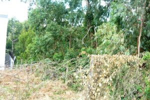 Terreno com 405m², no bairro Sanvitto em Caxias do Sul para Comprar