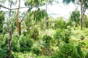 Terreno com 405m², no bairro Sanvitto em Caxias do Sul para Comprar