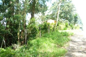 Terreno com 405m², no bairro Sanvitto em Caxias do Sul para Comprar