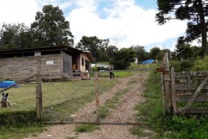 Terreno, no bairro 7 Legua em Caxias do Sul para Comprar