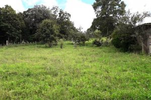 Terreno, no bairro 7 Legua em Caxias do Sul para Comprar