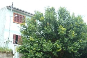 Casa com 136m², 4 dormitórios, 1 vaga, no bairro Santa Catarina em Caxias do Sul para Comprar