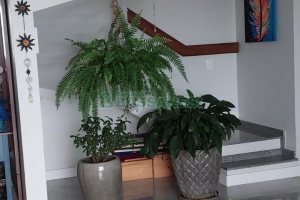 Apto/Cobertura com 230m², 3 dormitórios, 2 vagas, no bairro Centro em Caxias do Sul para Comprar