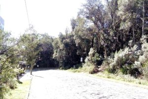 Terreno, no bairro Centro em Caxias do Sul para Comprar