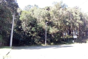 Terreno, no bairro Centro em Caxias do Sul para Comprar