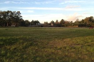 Pavilhão com 25000m², no bairro Cidade Nova em Caxias do Sul para Alugar