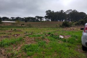 Terreno com 4896m², no bairro Nossa Senhora da Saúde em Caxias do Sul para Comprar