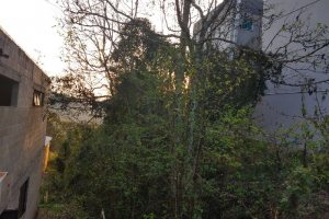 Terreno com 360m², no bairro Santa Catarina em Caxias do Sul para Comprar