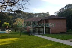 Chácara com 20000m², 8 dormitórios, no bairro Nossa Senhora da Saúde em Caxias do Sul para Alugar ou Comprar