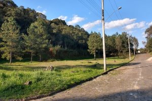 Terreno, no bairro São Giácomo em Caxias do Sul para Comprar