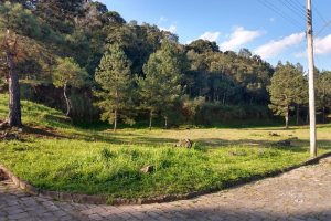 Terreno, no bairro São Giácomo em Caxias do Sul para Comprar