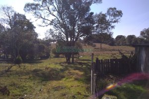 Chácara com 50m², 2 dormitórios, no bairro Criúva em Caxias do Sul para Comprar