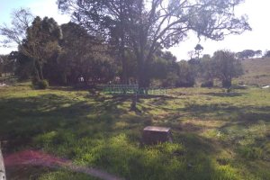 Chácara com 50m², 2 dormitórios, no bairro Criúva em Caxias do Sul para Comprar