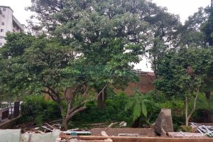 Terreno, no bairro Lourdes em Caxias do Sul para Comprar