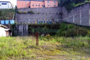 Terreno com 1261m², no bairro Sagrada Família em Caxias do Sul para Alugar ou Comprar