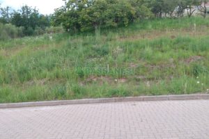 Terreno, no bairro Monte Bérico em Caxias do Sul para Comprar