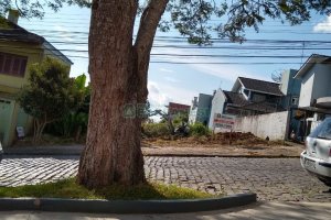 Terreno com 438m², no bairro Cinqüentenário em Caxias do Sul para Alugar