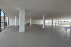 Sala com 500m², 2 vagas, no bairro São Caetano em Caxias do Sul para Alugar