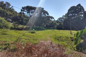 Terreno com 22554m², no bairro Pioneiro em Caxias do Sul para Comprar