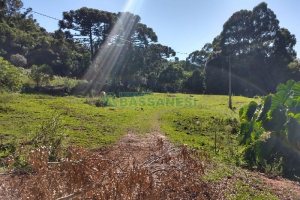 Terreno com 22554m², no bairro Pioneiro em Caxias do Sul para Comprar