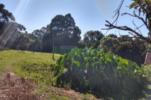 Terreno com 22554m², no bairro Pioneiro em Caxias do Sul para Comprar