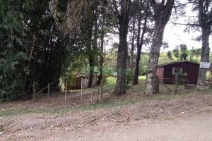 Chácara, no bairro Monte Bérico em Caxias do Sul para Comprar