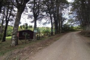 Chácara, no bairro Monte Bérico em Caxias do Sul para Comprar