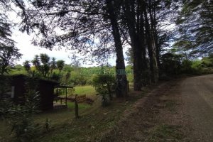 Chácara, no bairro Monte Bérico em Caxias do Sul para Comprar