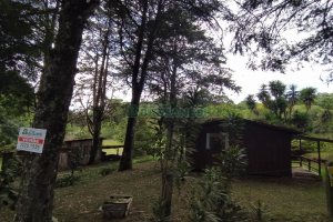 Chácara, no bairro Monte Bérico em Caxias do Sul para Comprar